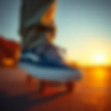 Magnificent A Comprehensive Exploration of Vans Lowland Blue Flame