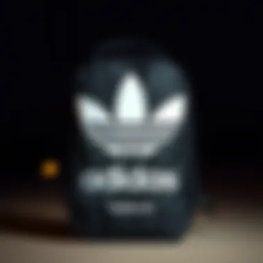 A Comprehensive Examination of the Adidas Trefoil 2.0 Backpack Summary A Comprehensive Examination of the Adidas Trefoil 2.0 Backpack Summary