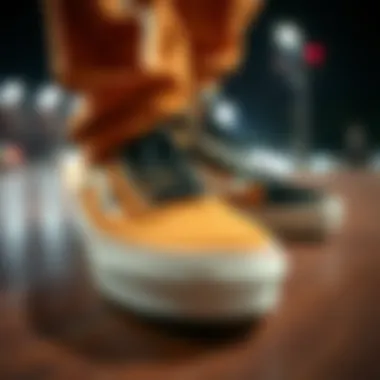 Notable A Comprehensive Exploration of Vans 70s Shoes: Heritage and Influence