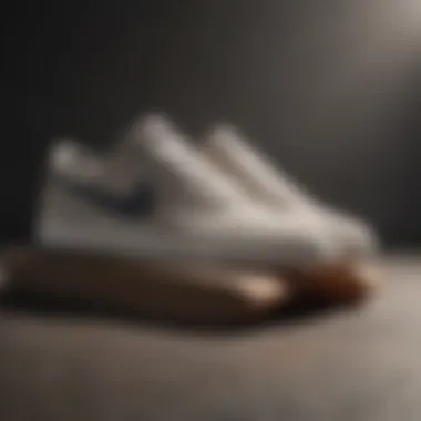 Performance Showcase of the Nike SB Heritage Vulc Nike SB Heritage Vulc in action on a skateboard