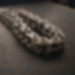 Close-up of high-quality skateboard chain materials