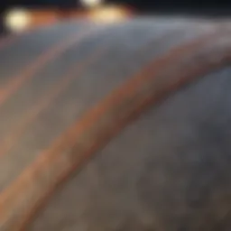 Champion Cropped Tee Fabric Texture