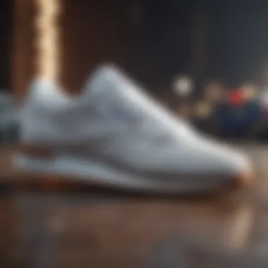 Classic Nylon Reebok Sneaker Evolution Classic Nylon Reebok Sneaker Evolution