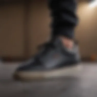 Sleek Design of Nyjah Huston Skate Shoes Sleek and modern design of Nyjah Huston skate shoes