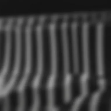 Elegant Monochrome Stripes Elegant Monochrome Stripes