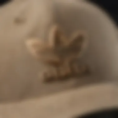 Artistic Detail: Embroidered Logo on Khaki Adidas Hat Close-up of Embroidered Logo on Khaki Adidas Hat