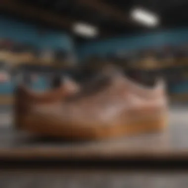 Diverse Styles of Budget-Friendly Skate Shoes Variety of skate shoe styles on display