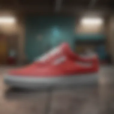 Diverse Styles of Budget-Friendly Skate Shoes A collection of affordable skate shoes showcasing diverse styles and colors.