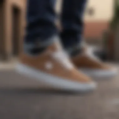 Diverse Styles of DC Shoes for Skaters Variety of DC Shoes models showcasing diverse styles