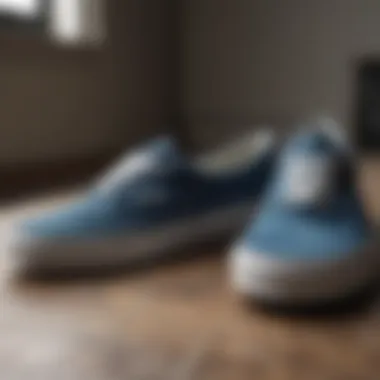 Maintaining Dyed Vans Shoes A well-maintained pair of dyed Vans showcasing their longevity.