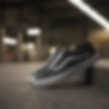 Sleek Monochrome Vans Footwear Elegant Vans Shoes in Black