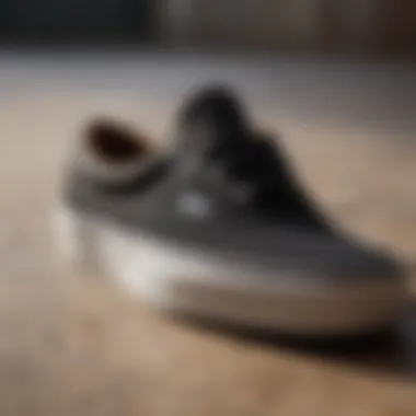 Timeless Vans Era Sneakers Classic Vans Era Shoes
