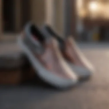 Chic Slip-On Vans Sneakers Stylish Vans Slip-On Sneakers
