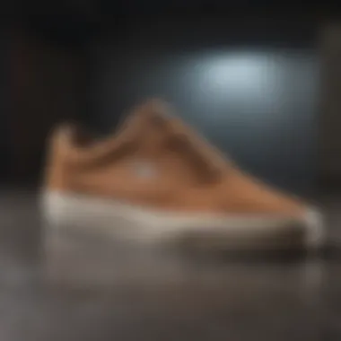 Lakai Suede Maintenance Comparison of Lakai suede shoes before and after maintenance care