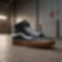 Exploring Men's Vans Sk8 Hi MTE: A Comprehensive Guide Introduction