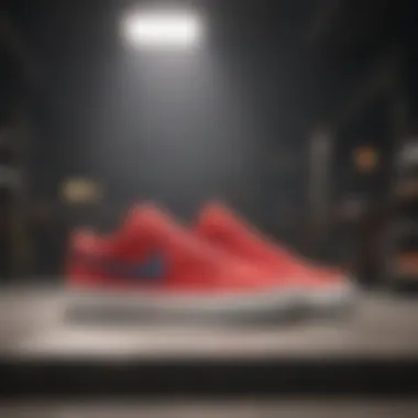 Nike Crimson vs. Other Skate Shoes Comparison of Nike Crimson Shoes against other popular skate shoes