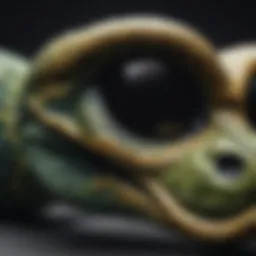 Close-up view of a Pit Viper frame showcasing its innovative design