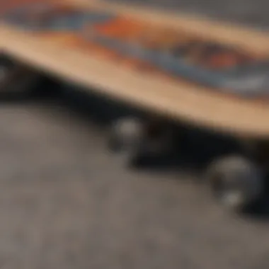 Close-up of skateboard deck showcasing designs