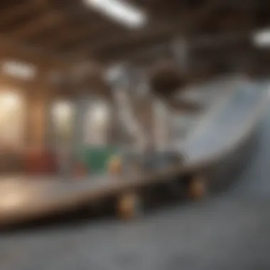 Osprey Skateboard in Action Osprey skateboard in action on a skate park ramp