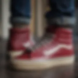 Exploring the Sk8 Hi Port Royale Sneakers Introduction