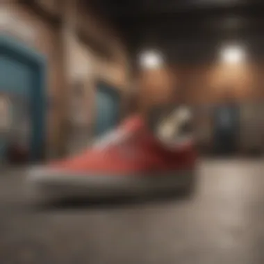 Vans Shoes in Skate Culture Vans shoes displayed in a vibrant skate culture setting