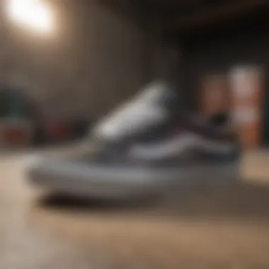 Unique Designs of Vans Special Edition Shoes Vans special edition shoes showcasing unique designs