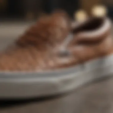 Classic Vans Skate Shoe Design Close-up of the classic Vans unisex skate shoe design showcasing unique patterns and textures.