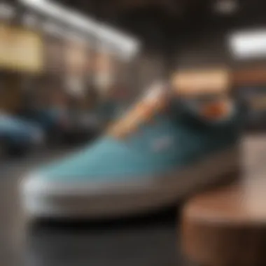 Variety of Vans Skate Shoe Models Display of various Vans unisex skate shoe models highlighting color variations and styles.