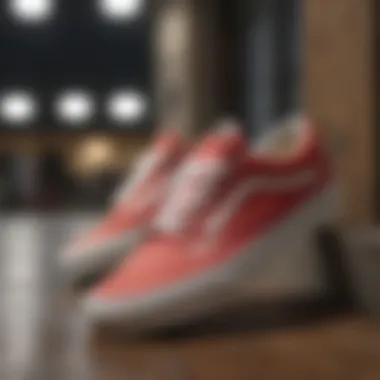 Vintage-Inspired Vans Low Top Sneakers