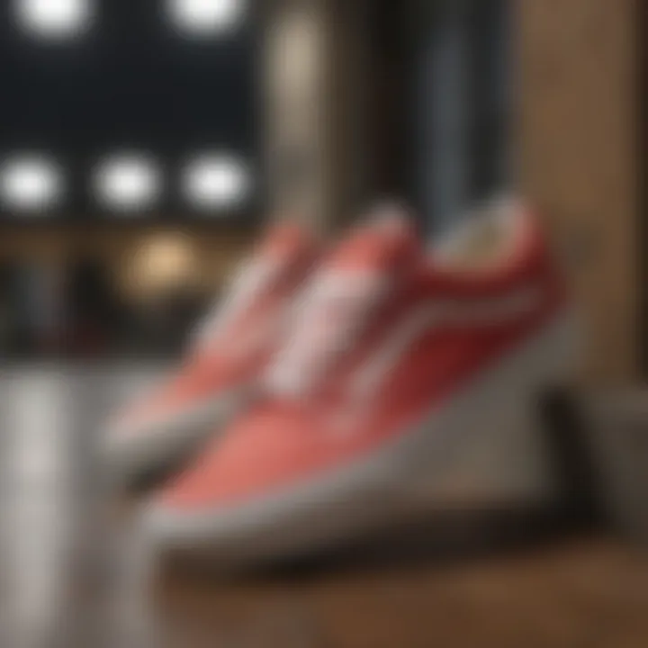 Vintage-Inspired Vans Low Top Sneakers