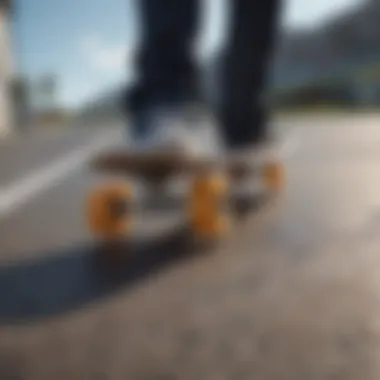 Diverse Range of Skateboards for Novices Beginner skateboard options at Walmart