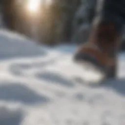 Footprint in Fresh Snow