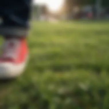 Close-up of skate shoes treading on lush green grass