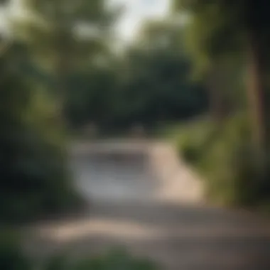 Urban skate park blending seamlessly with surrounding foliage