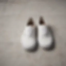 Iconic Vans Authentic All-White Shoes on Marble Surface