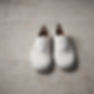 Timeless Elegance: Vans Authentic All-White Iconic Vans Authentic All-White Shoes on Marble Surface