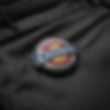 Signature Logo Detail of Dickies Pants Dickies pants logo detail on a garment