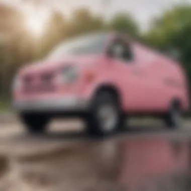 Care and Maintenance for Pink Lemonade Vans Slip-Ons Care tips for maintaining the freshness of Pink Lemonade Vans Slip-Ons