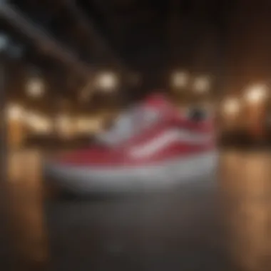 Explore Popular Models of Vans Stylish collection of Vans shoes showcasing various popular models