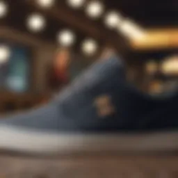A stylish pair of Etnies shoes showcasing their unique design.