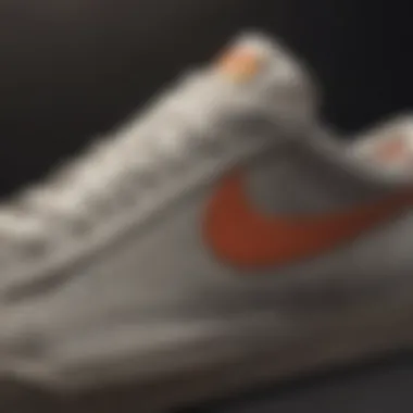 Close-up of the Nike Blazer Low's unique texture and materials