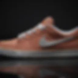 Close-up of Nike SB Low Top sneaker showcasing its intricate design elements.