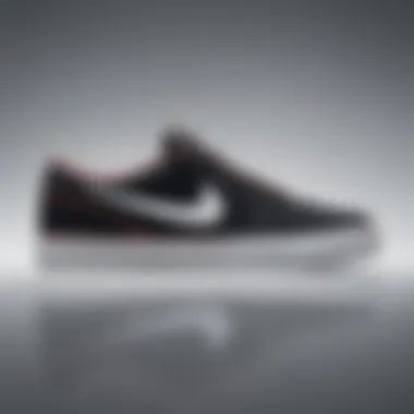 Profile View of Nike SB Shane Side profile of the Nike SB Shane highlighting its silhouette and colorways