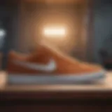 Innovative Nike SB Suede Shoe Design