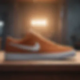 Innovative Nike SB Suede Shoe Design