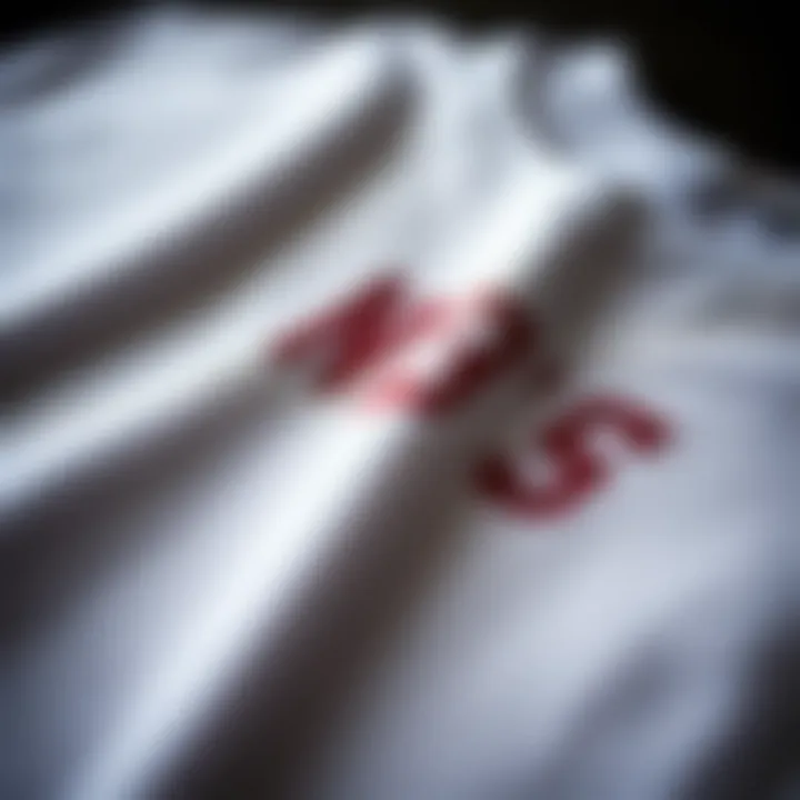 Close-up of the fabric and print quality of a skateboard t-shirt