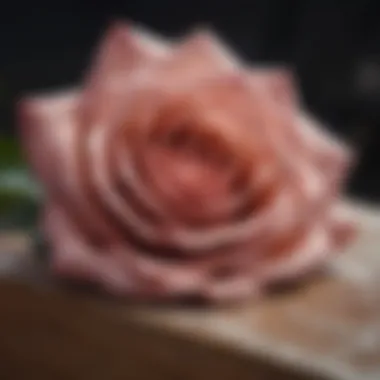 Detailed close-up of the intricate layers of a PSD rose