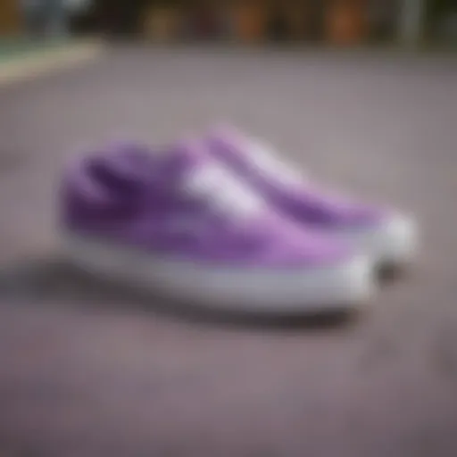 A vibrant pair of purple tie dye Vans showcased against a skate park backdrop