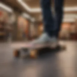 Rayne Skateboards Evolution