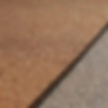 Close-Up of Tan Top Fabric Texture in Skateboarding Setting